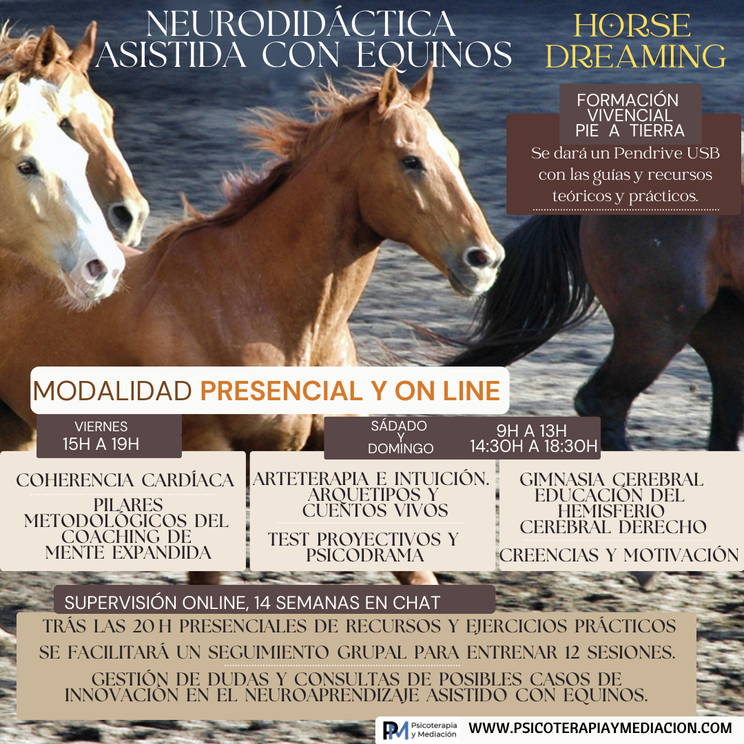 IG HORARIO CURSO VEO