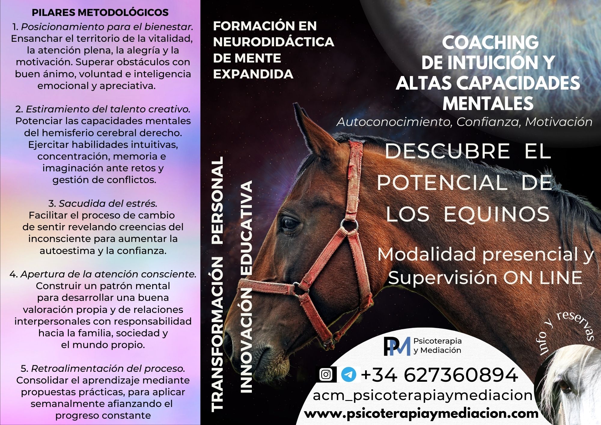 formación VEO folleto A4 tríptico cavallos